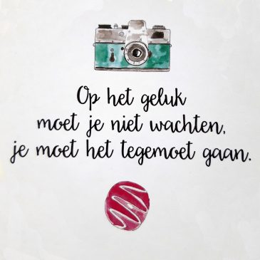 Op het geluk moet je niet wachten, dat moet je tegemoet gaan.