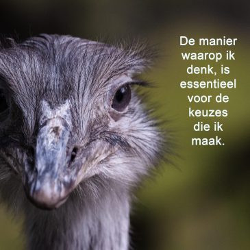 “De manier waarop jij denkt, is essentieel voor de keuzes die jij maakt.”